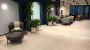 spacious room filled with green plants in white pots.