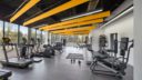 Gym Interior of 340 Mount Kemble Repositioning
